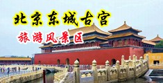 鸡巴插骚逼视频中国北京-东城古宫旅游风景区